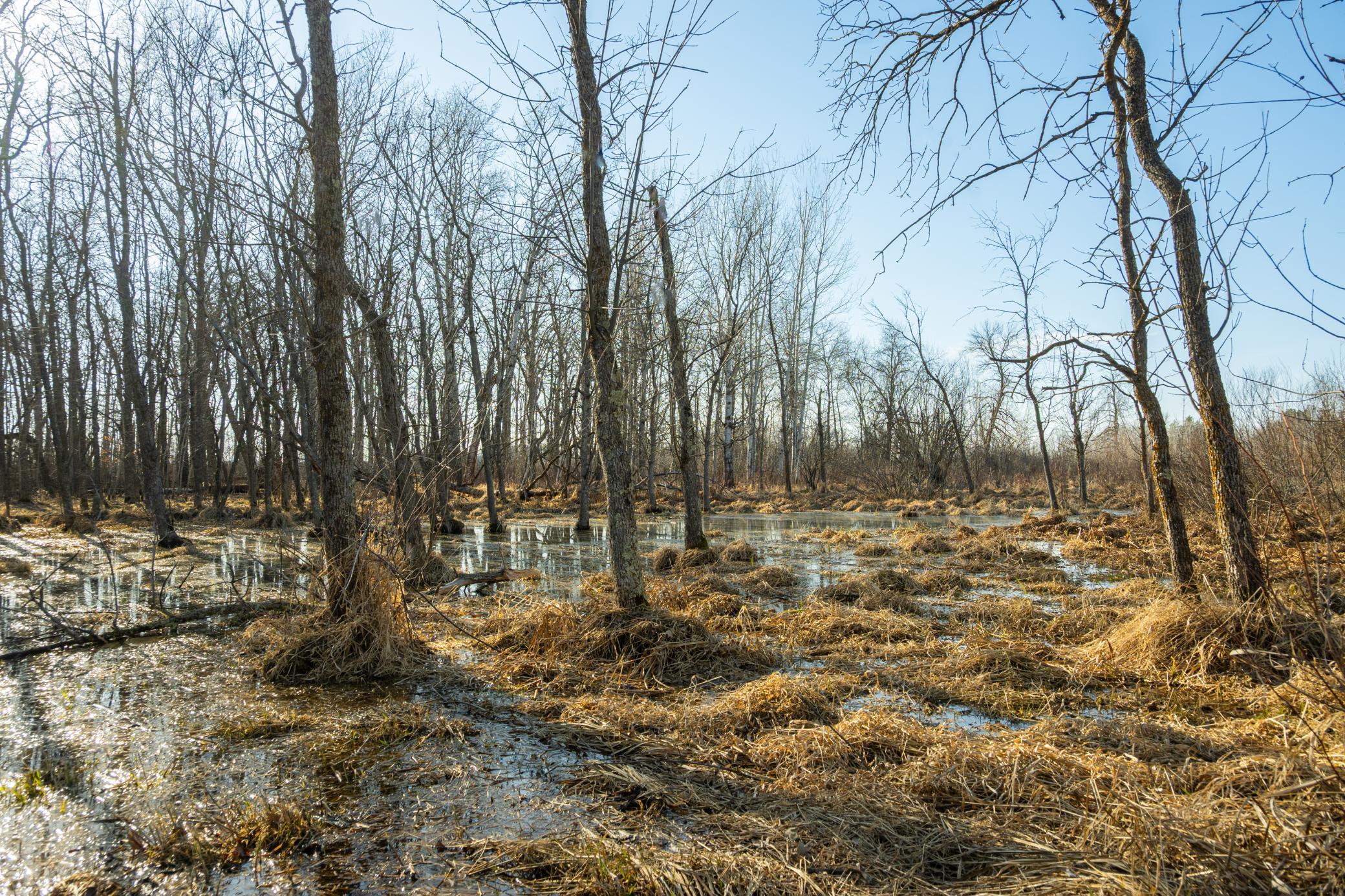 DSC_1488.jpg