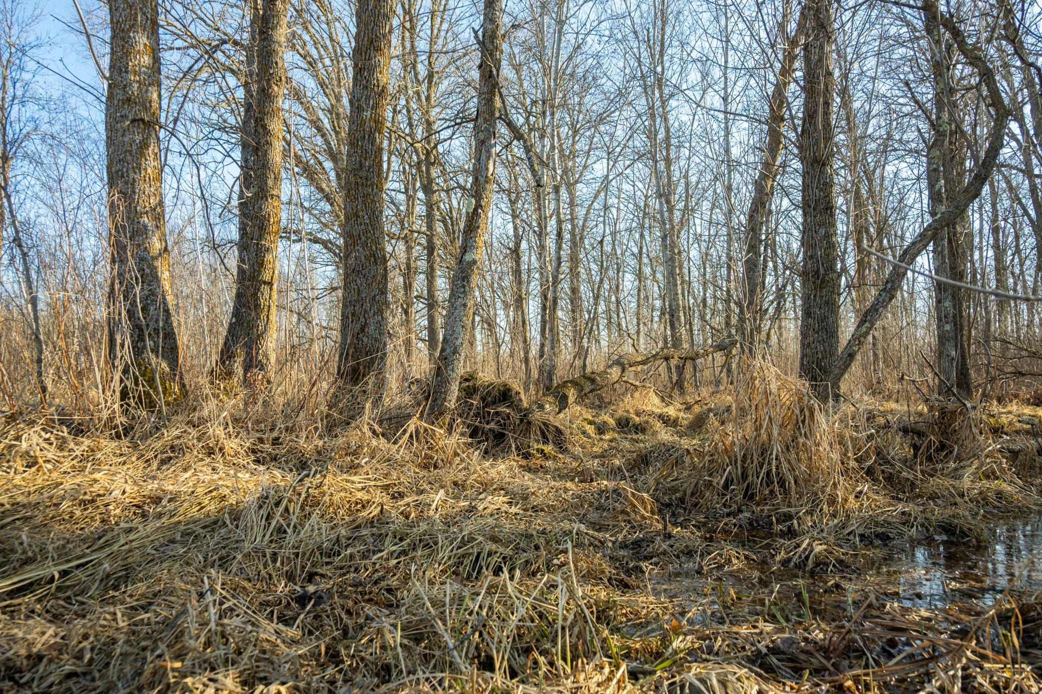 DSC_1490.jpg