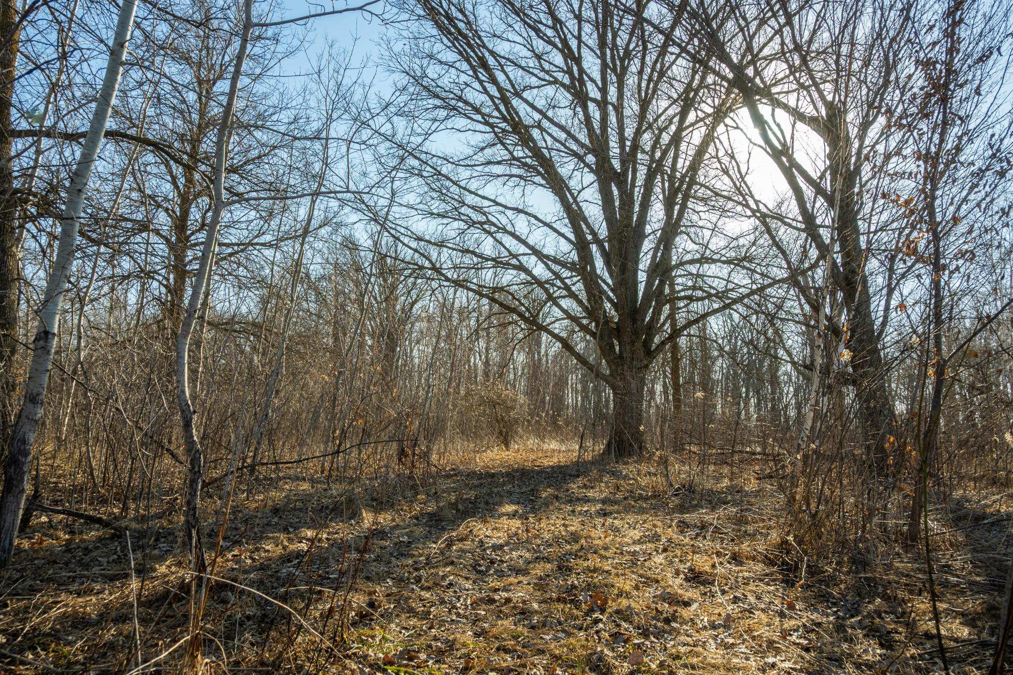 DSC_1484.jpg