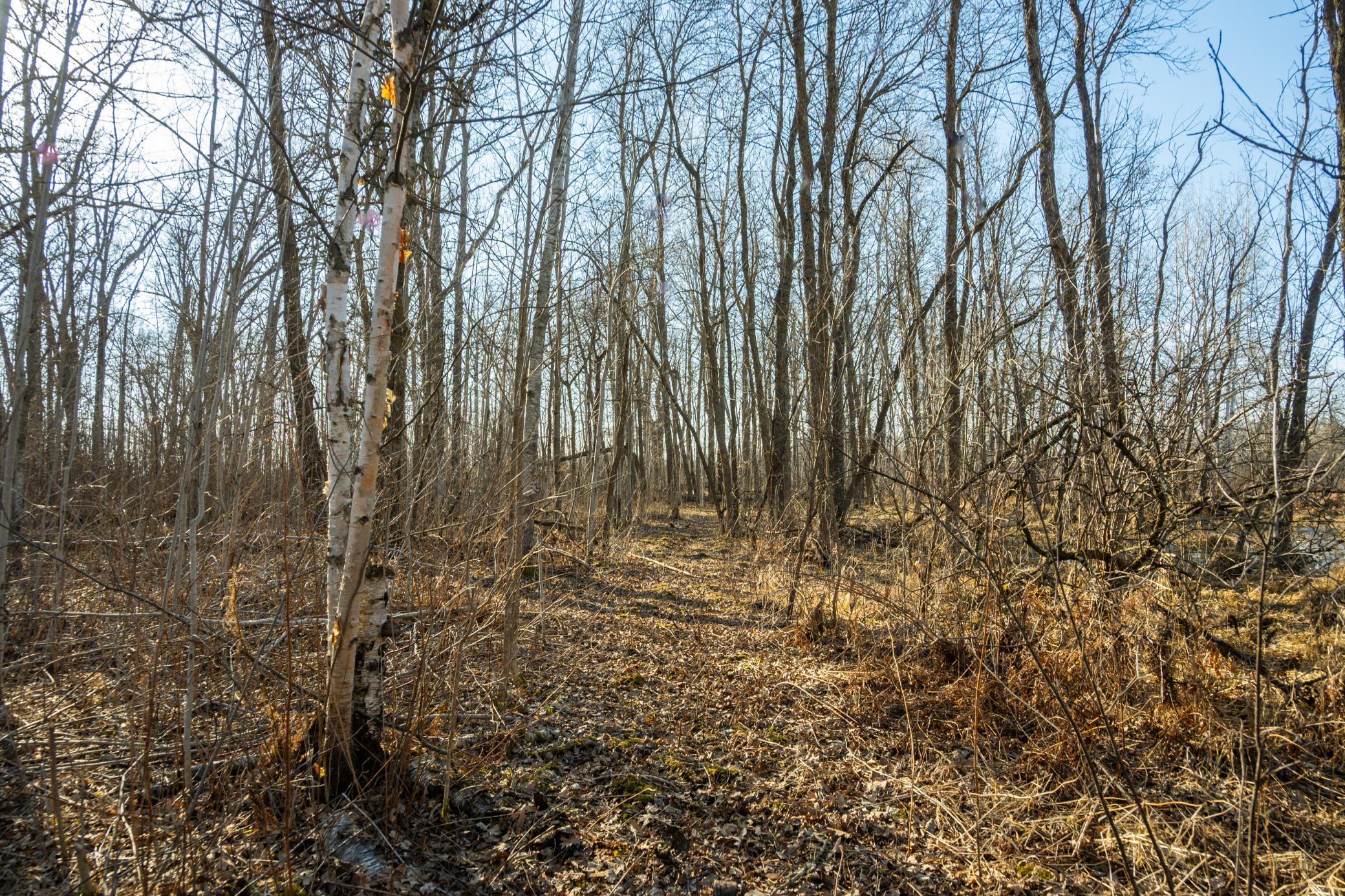 DSC_1492.jpg