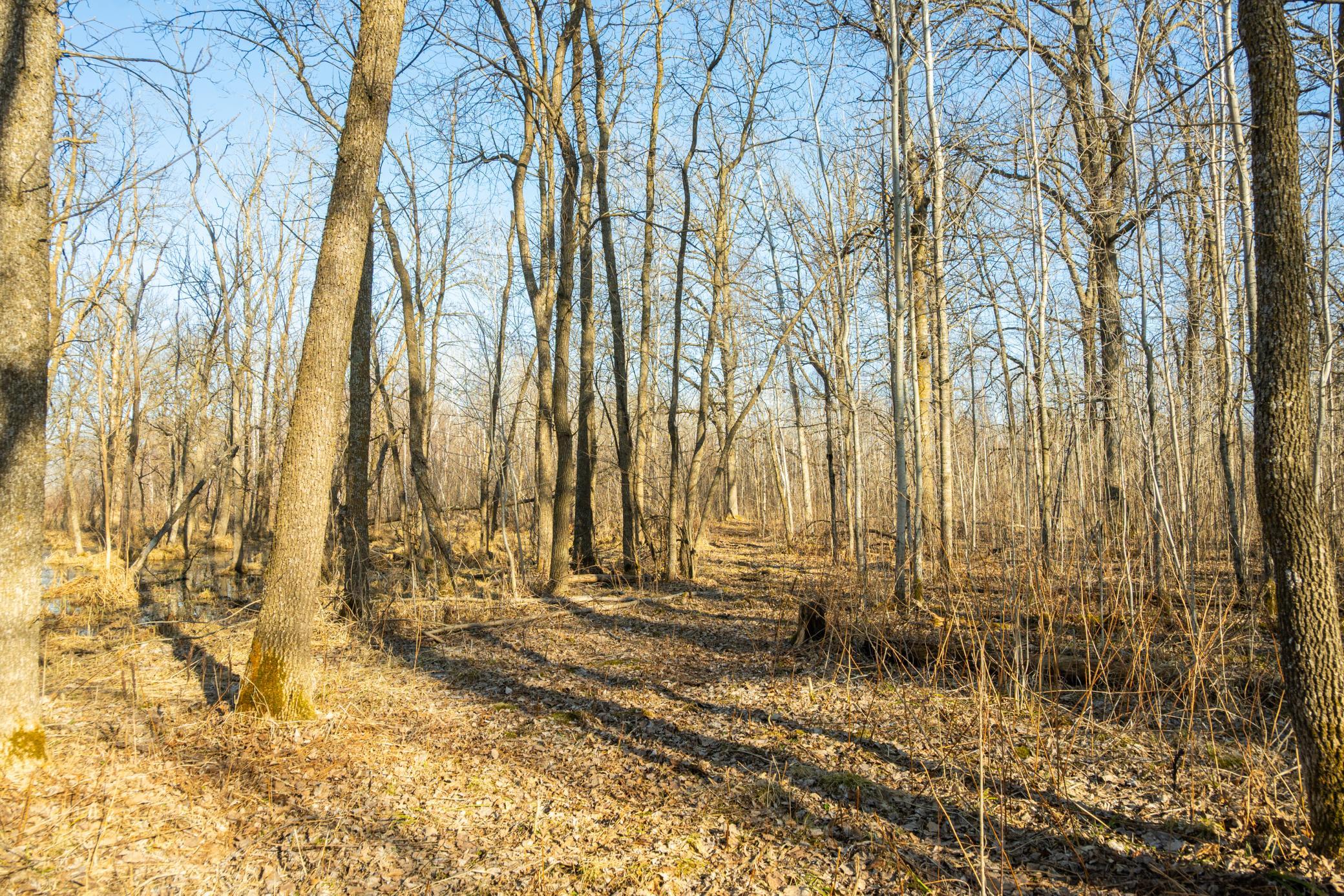 DSC_1498.jpg