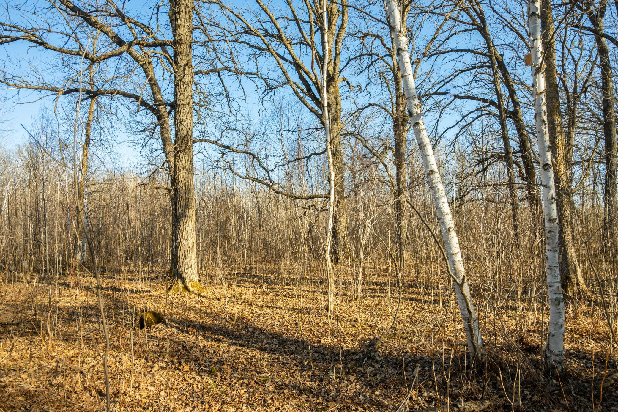 DSC_1493.jpg