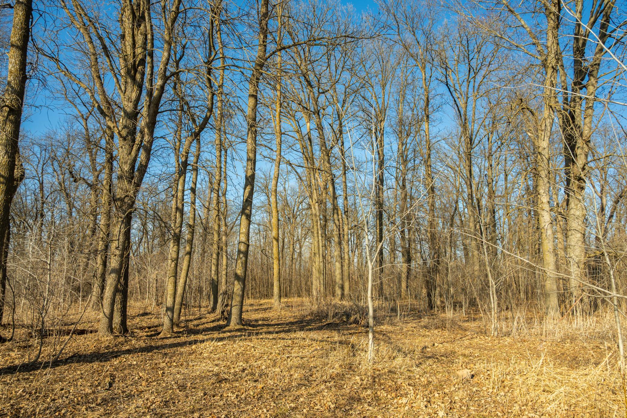 DSC_1510.jpg