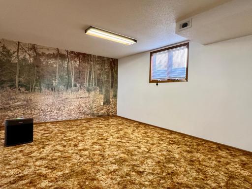 509 1st Street, Bellingham, MN 56212
