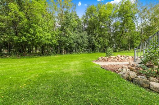 Mature Trees Provide Privacy from Neighbors