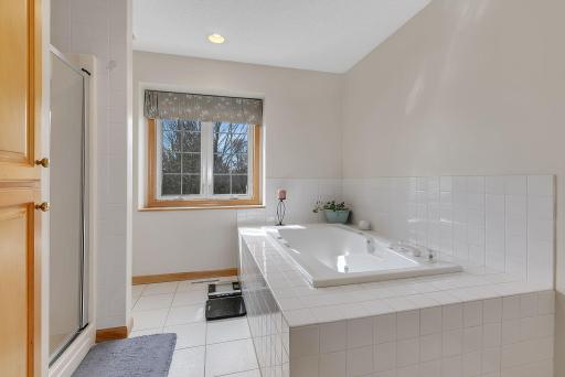 Walk-In Shower - Large Walk-In Closet - Natural Daylight Creates a Spa-Like Feel