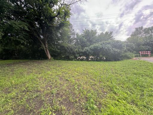 409 S Orange Street, Waconia, MN 55387