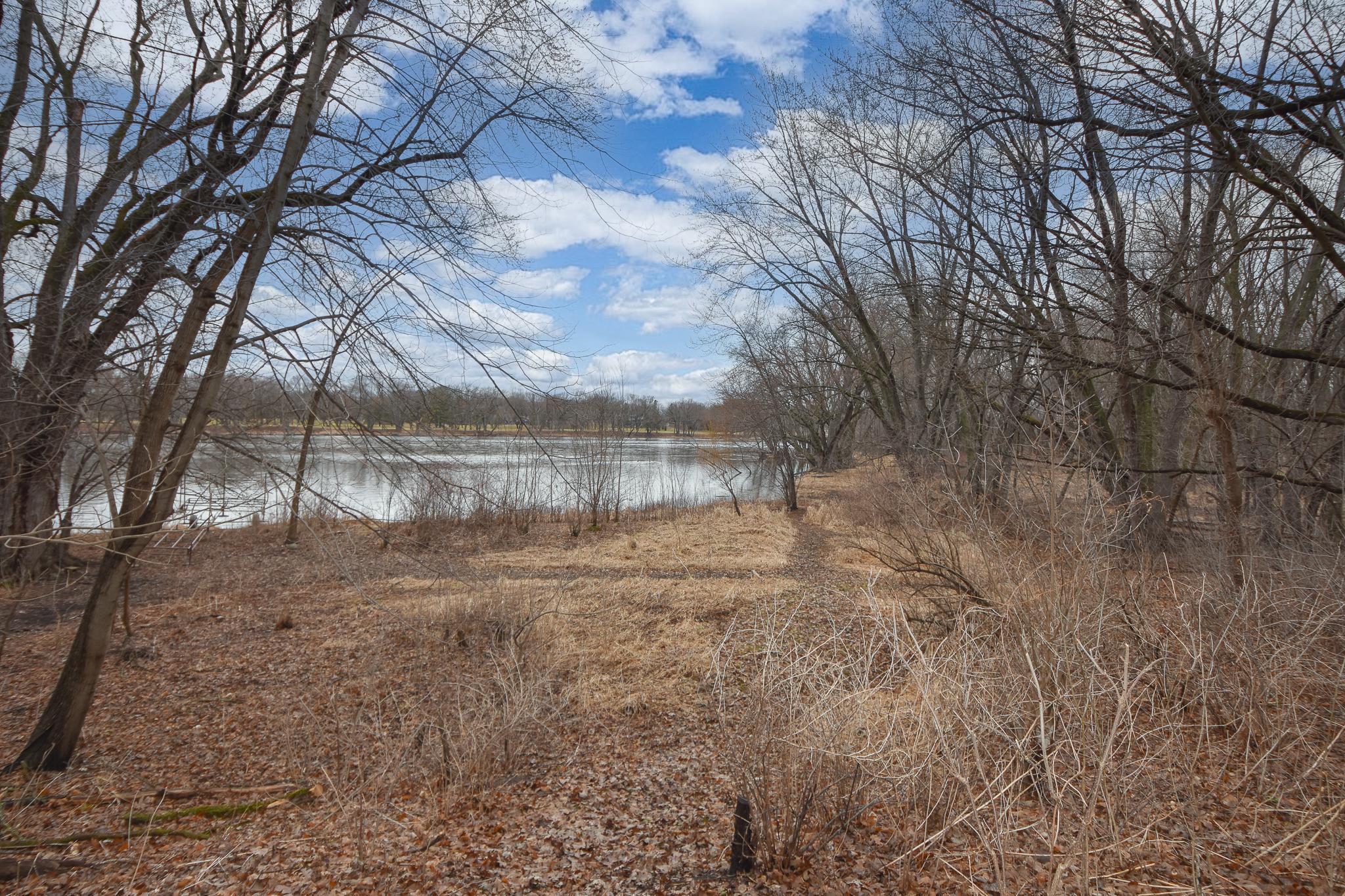Private wooded surroundings create a natural retreat just steps from the home.