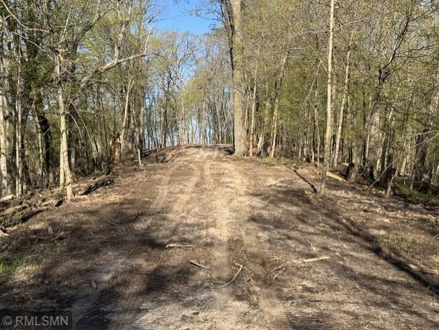 Ungraded road to building site (gravel will be added)