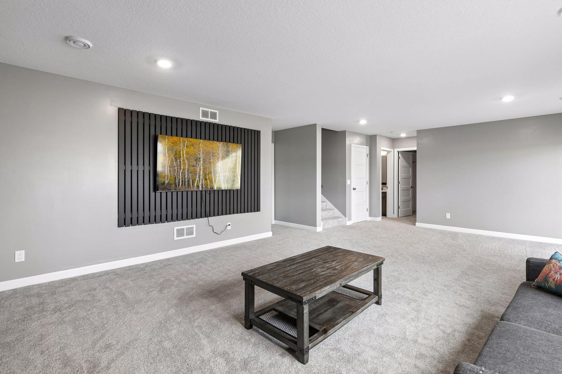 Lower Level Family Room