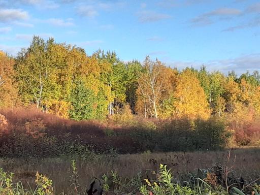 31538 County 23, Akeley, MN 56433