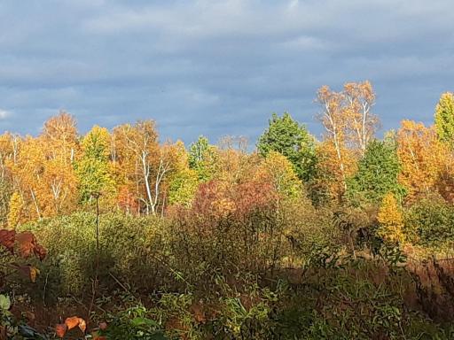 31538 County 23, Akeley, MN 56433