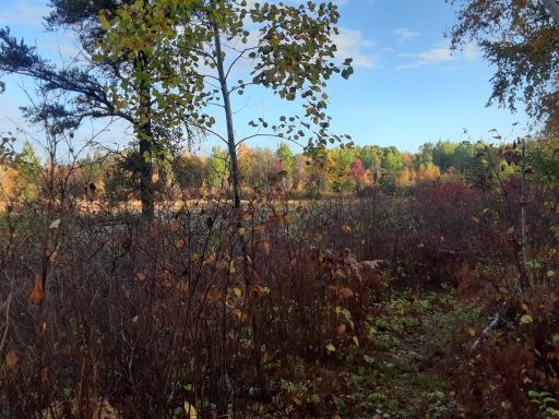 31538 County 23, Akeley, MN 56433