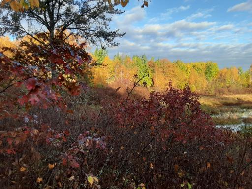 31538 County 23, Akeley, MN 56433