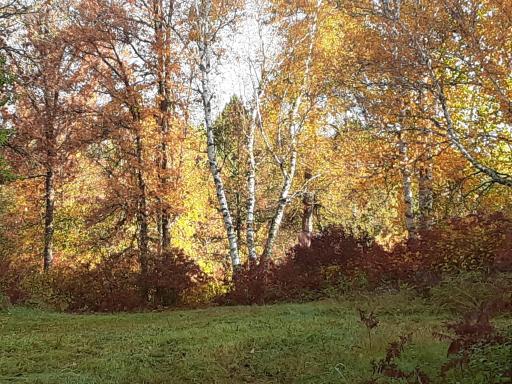 31538 County 23, Akeley, MN 56433