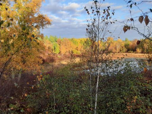 31538 County 23, Akeley, MN 56433