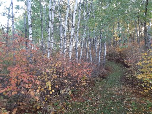 31538 County 23, Akeley, MN 56433