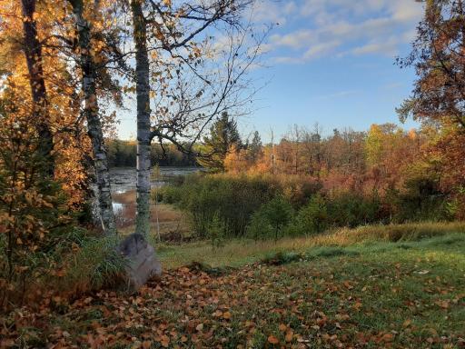 31538 County 23, Akeley, MN 56433