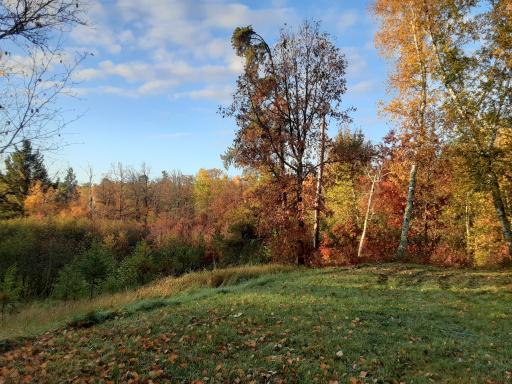 31538 County 23, Akeley, MN 56433