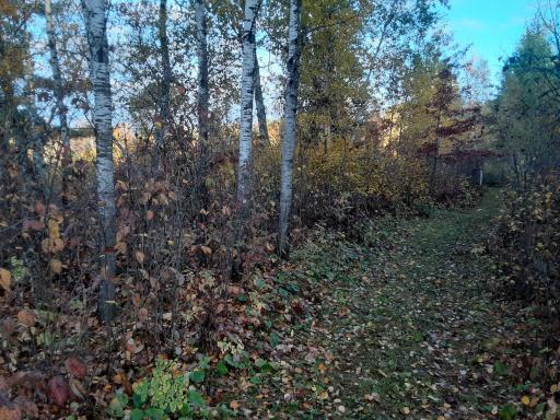 31538 County 23, Akeley, MN 56433