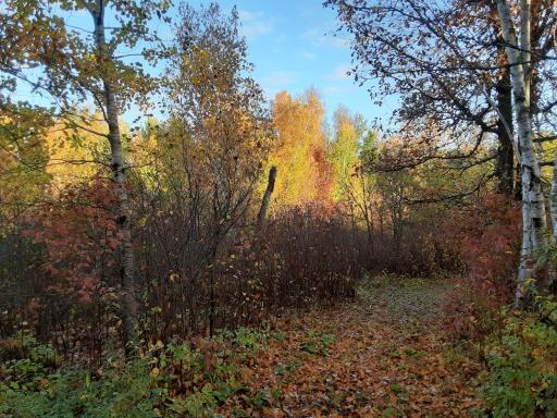 31538 County 23, Akeley, MN 56433