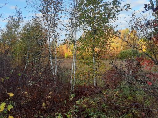 31538 County 23, Akeley, MN 56433