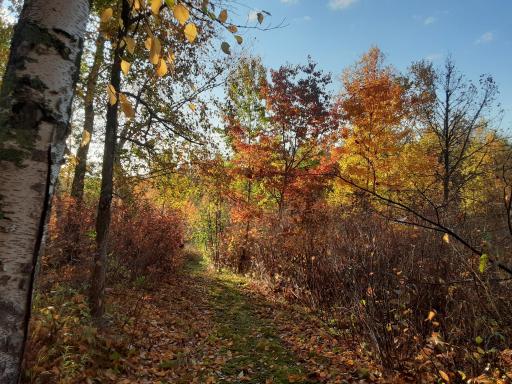 31538 County 23, Akeley, MN 56433