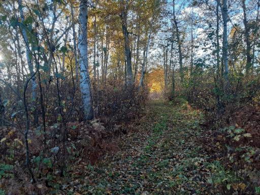 31538 County 23, Akeley, MN 56433