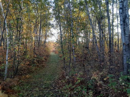 31538 County 23, Akeley, MN 56433