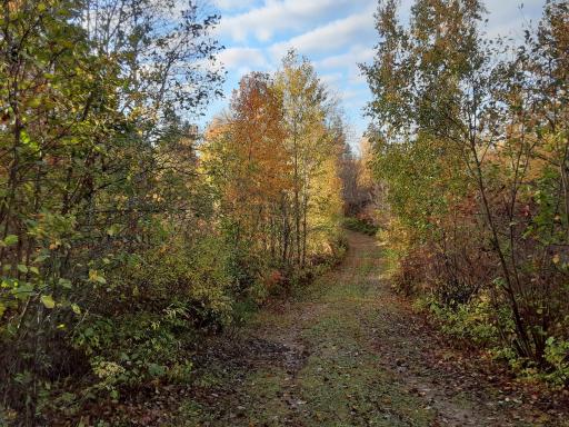 31538 County 23, Akeley, MN 56433
