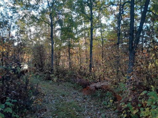 31538 County 23, Akeley, MN 56433