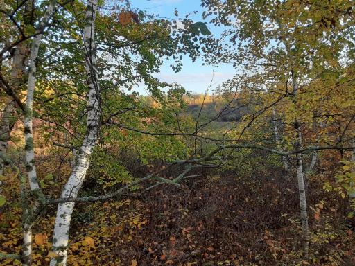 31538 County 23, Akeley, MN 56433