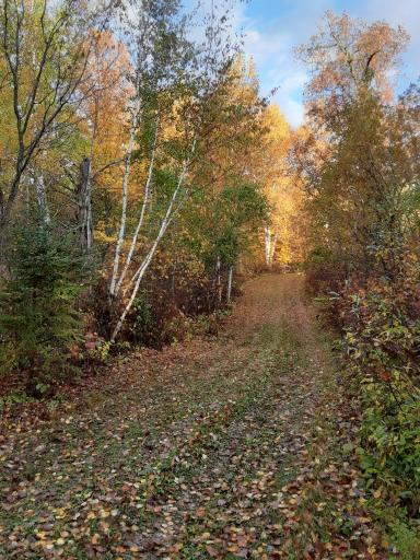 31538 County 23, Akeley, MN 56433