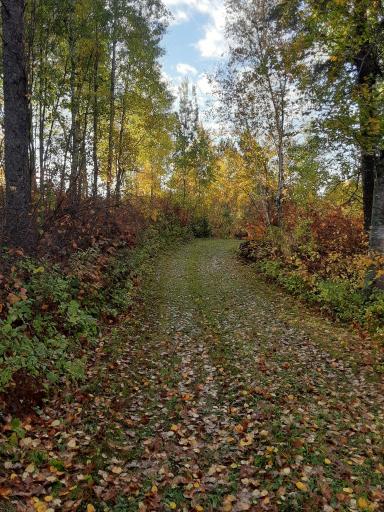 31538 County 23, Akeley, MN 56433