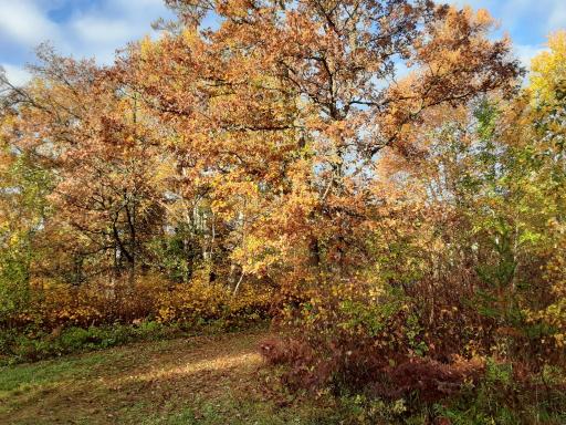 31538 County 23, Akeley, MN 56433