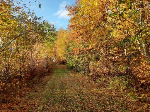 31538 County 23, Akeley, MN 56433