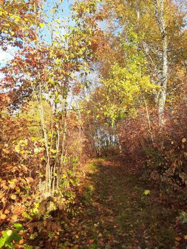 31538 County 23, Akeley, MN 56433