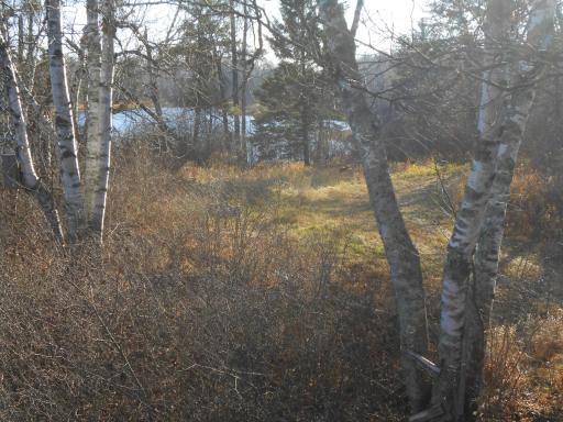 31538 County 23, Akeley, MN 56433