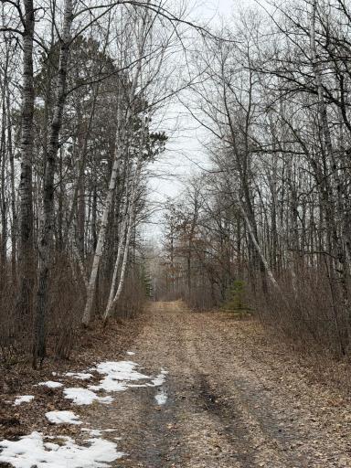 31538 County 23, Akeley, MN 56433