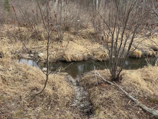 31538 County 23, Akeley, MN 56433