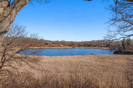 Winter calm by the lakeside.jpg