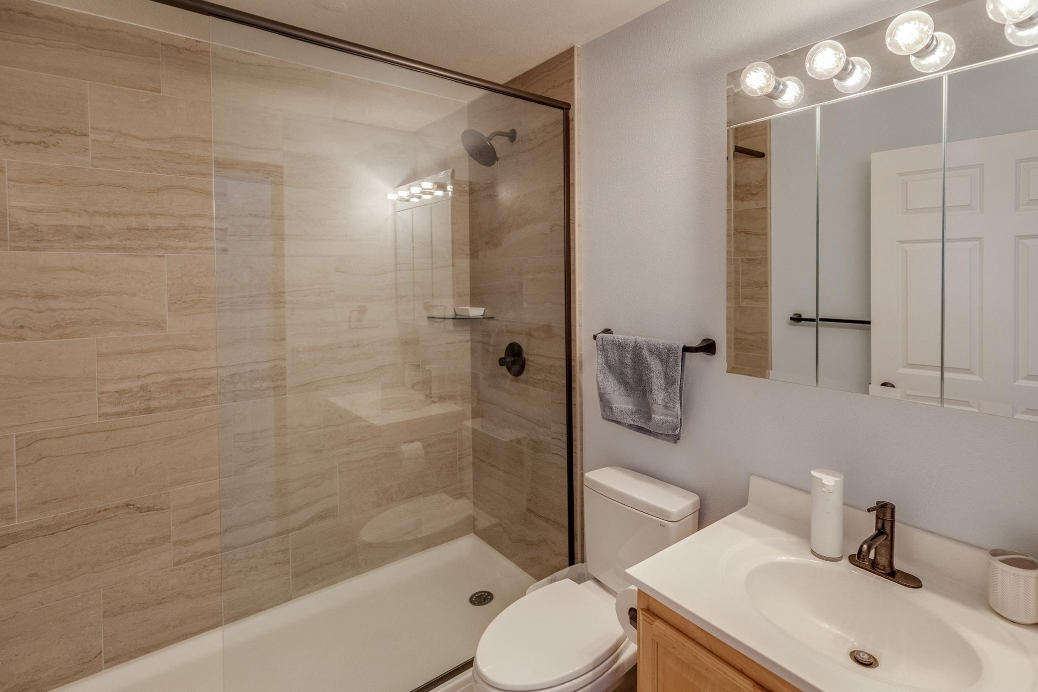 Lower Level Bathroom #3.jpg