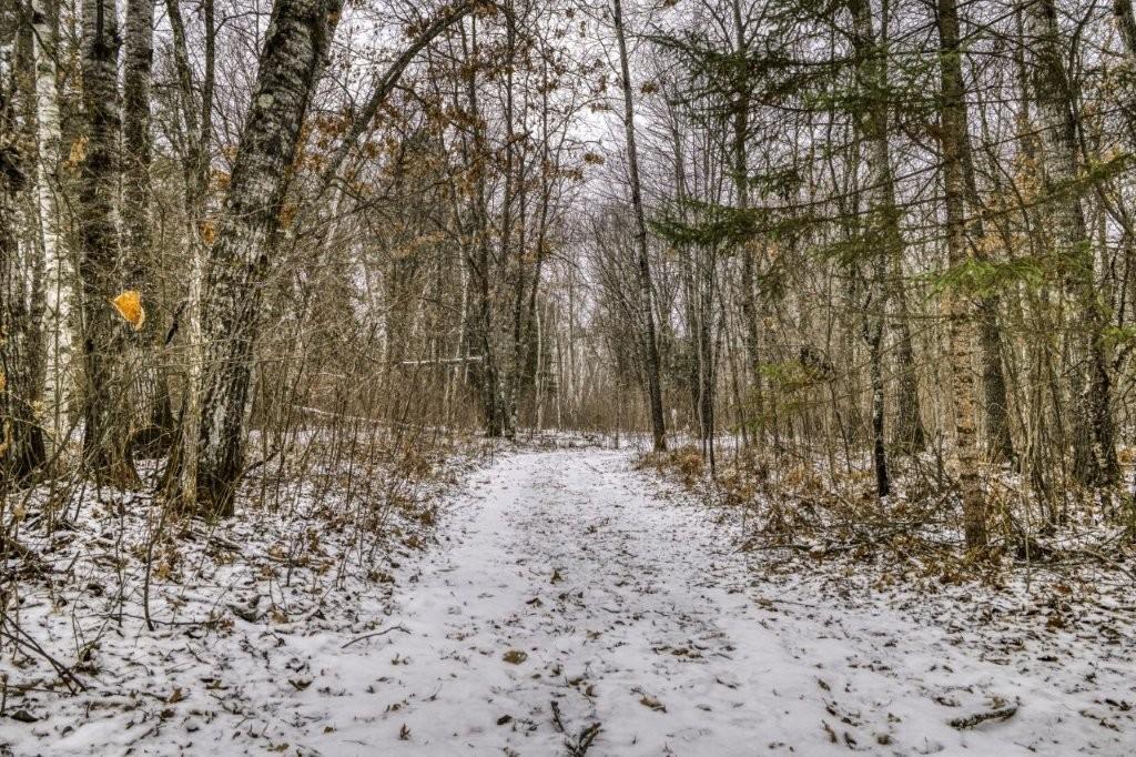 many established trails through out property.jpg