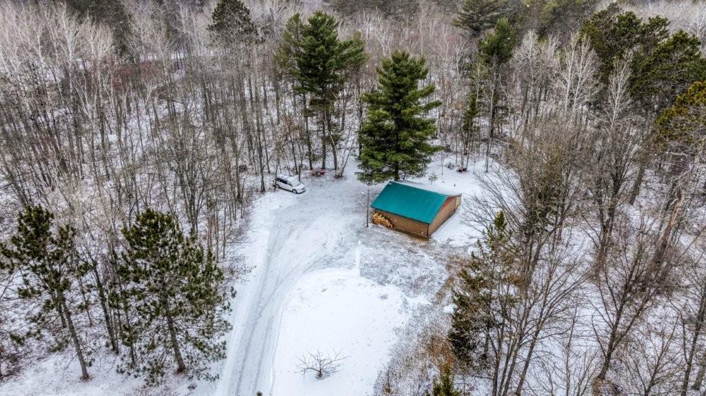 surrounded by a variety of trees.jpg