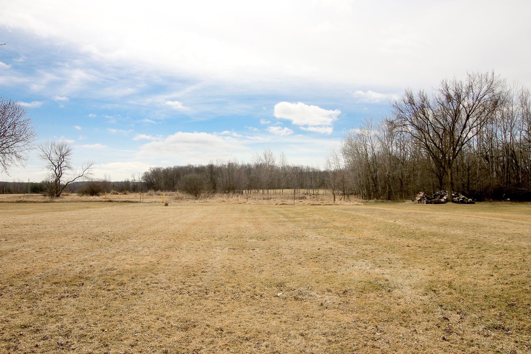 Second half of the backyard!