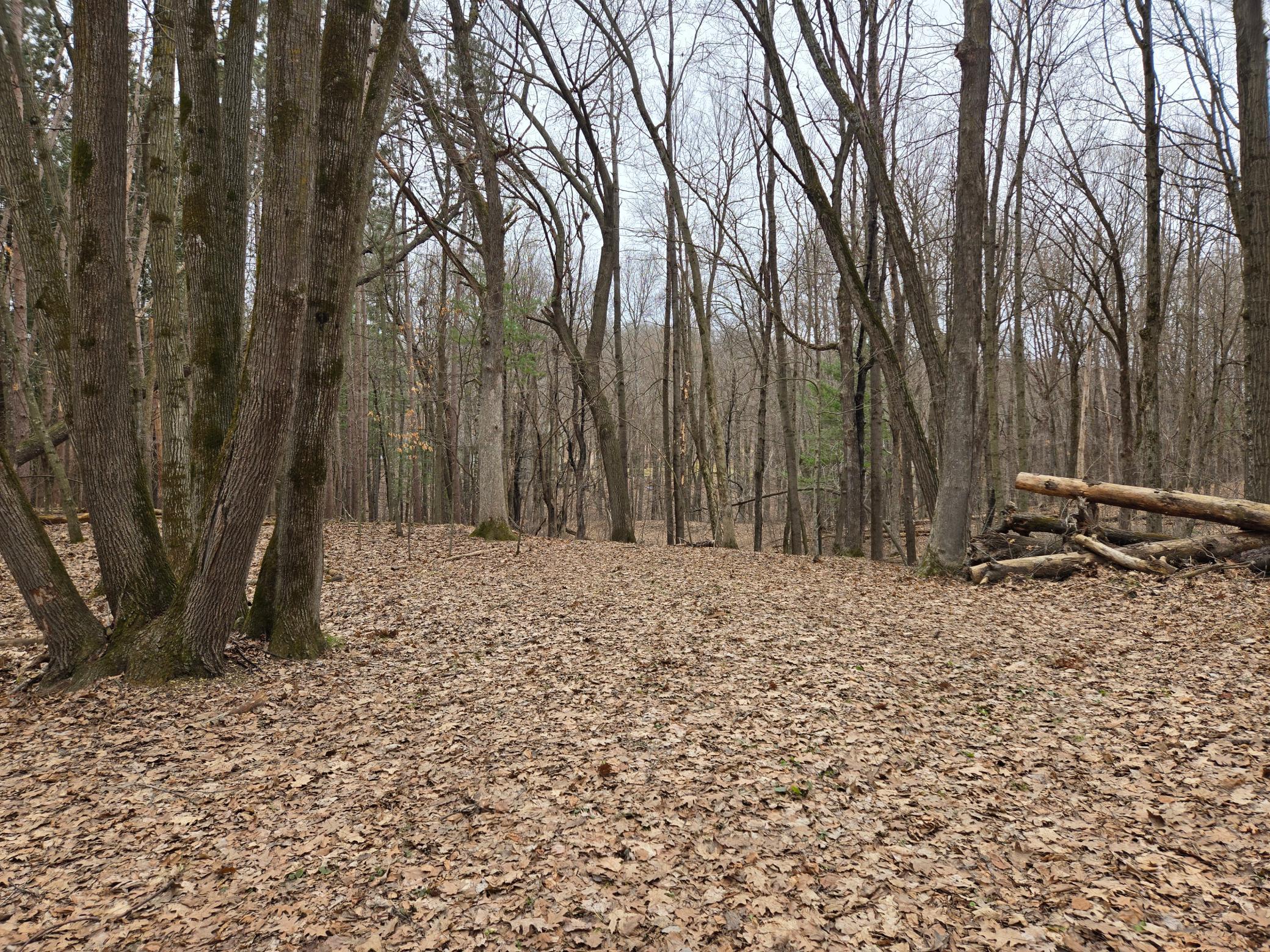 20260401_123611.jpg