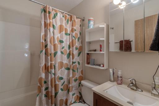 113 / 119 E Welcome Avenue, Mankato, MN 56001