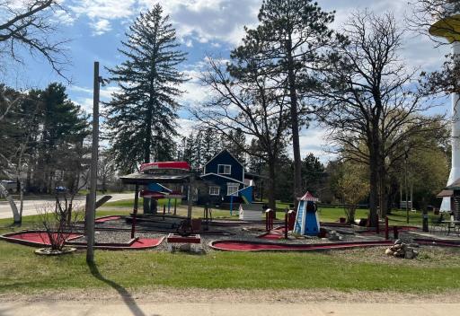 22175 Grand Pines Trail, Nevis, MN 56467
