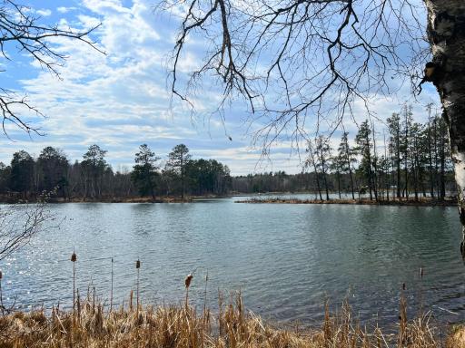 22175 Grand Pines Trail, Nevis, MN 56467