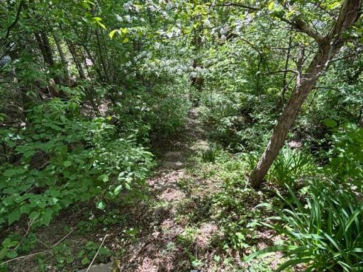 333 5th Avenue NE, Chisholm, MN 55719